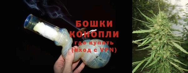 прущие грибы Михайловка