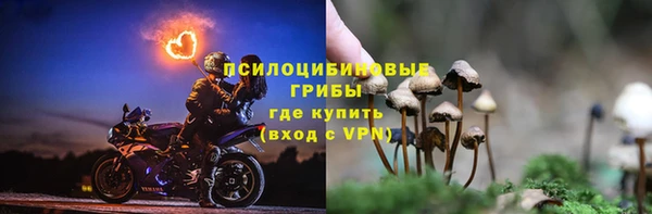 прущие грибы Михайловка
