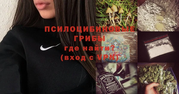 прущие грибы Михайловка