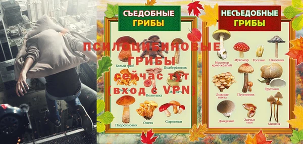прущая мука Михайлов