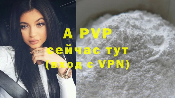 прущие грибы Михайловка