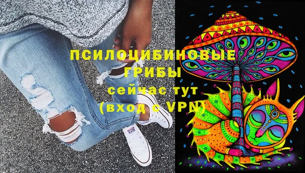 прущие грибы Михайловка