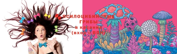 прущая мука Михайлов